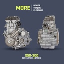 SHERCO SEF 300 4T FACTORY HOM MY24